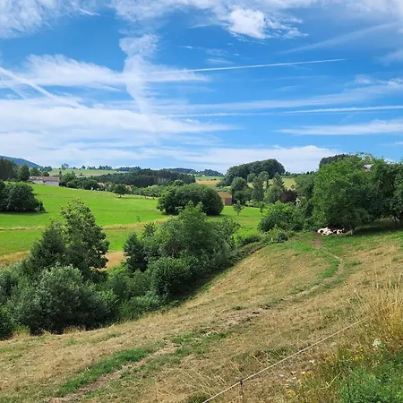 Vila Gerardmer La De Corcieux